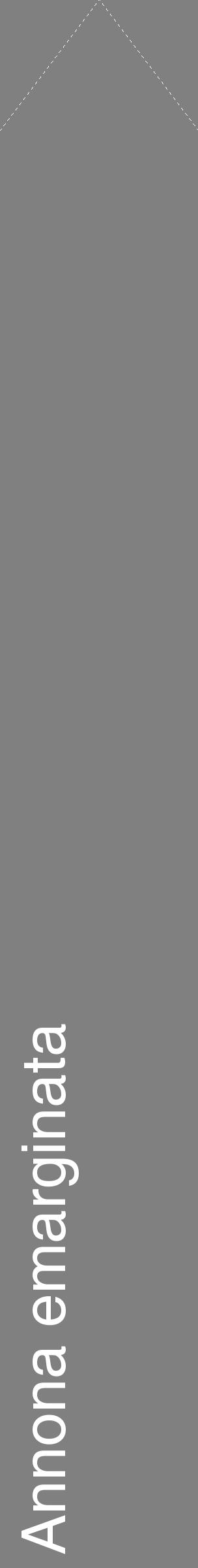 Étiquette de : Annona emarginata - format c - style blanche57_simplehel avec comestibilité