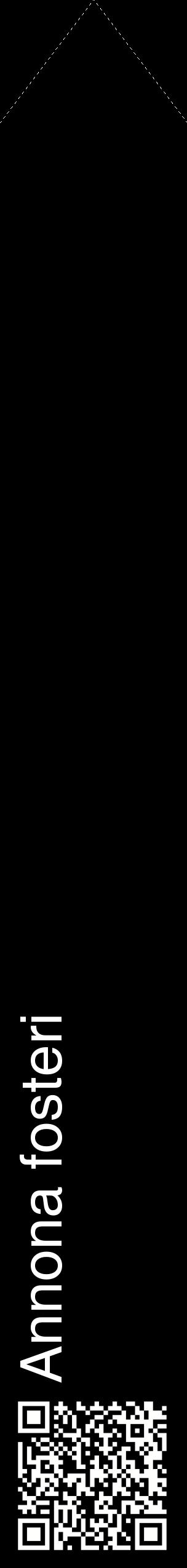 Étiquette de : Annona fosteri - format c - style blanche59_simplehel avec qrcode et comestibilité