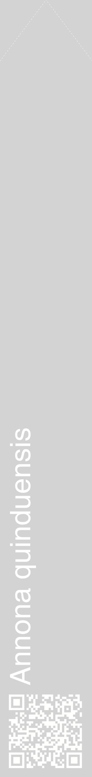 Étiquette de : Annona quinduensis - format c - style blanche56_simplehel avec qrcode et comestibilité