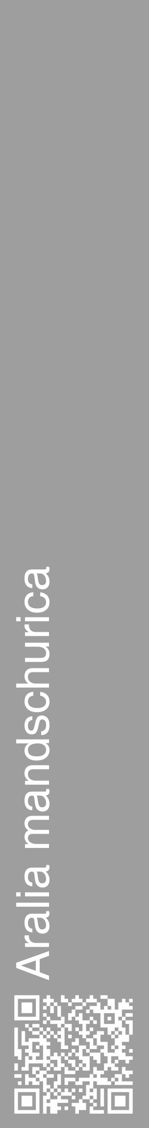 Étiquette de : Aralia mandschurica - format c - style blanche42_basique_basiquehel avec qrcode et comestibilité - position verticale
