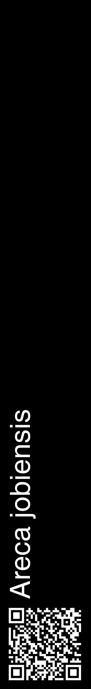 Étiquette de : Areca jobiensis - format c - style blanche59_basiquehel avec qrcode et comestibilité