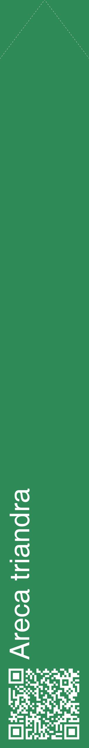 Étiquette de : Areca triandra - format c - style blanche11_simplehel avec qrcode et comestibilité