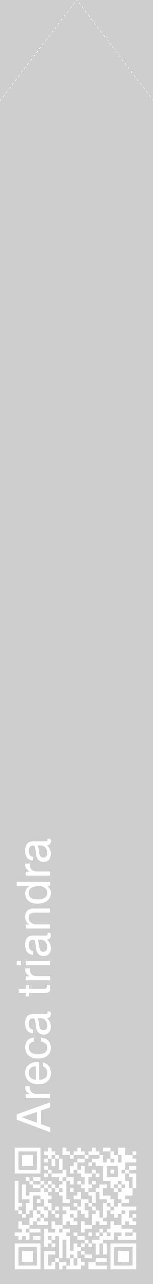 Étiquette de : Areca triandra - format c - style blanche17_simple_simplehel avec qrcode et comestibilité - position verticale