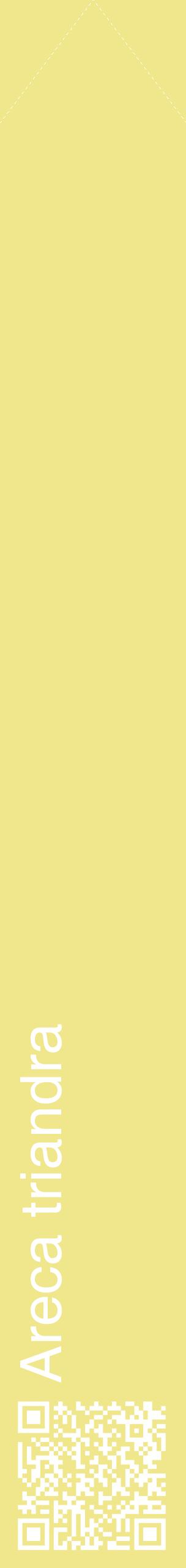 Étiquette de : Areca triandra - format c - style blanche20_simplehel avec qrcode et comestibilité