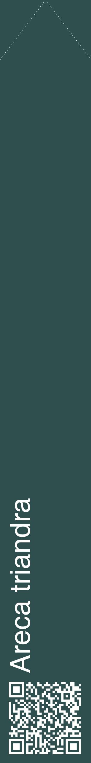 Étiquette de : Areca triandra - format c - style blanche58_simplehel avec qrcode et comestibilité