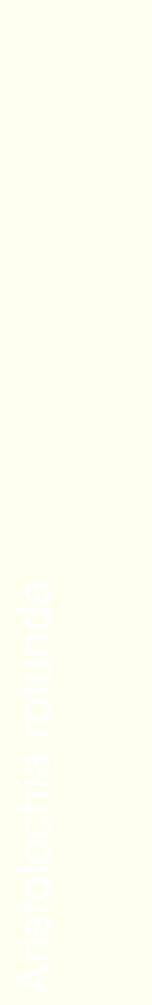 Étiquette de : Aristolochia rotunda - format c - style blanche19_basiquehel avec comestibilité