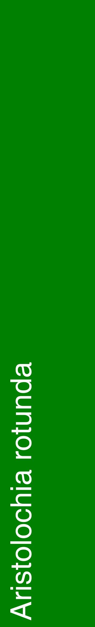 Étiquette de : Aristolochia rotunda - format c - style blanche9_basiquehel avec comestibilité