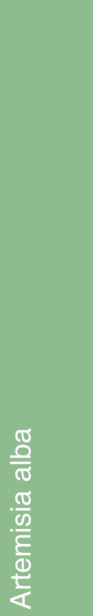 Étiquette de : Artemisia alba - format c - style blanche13_basiquehel avec comestibilité