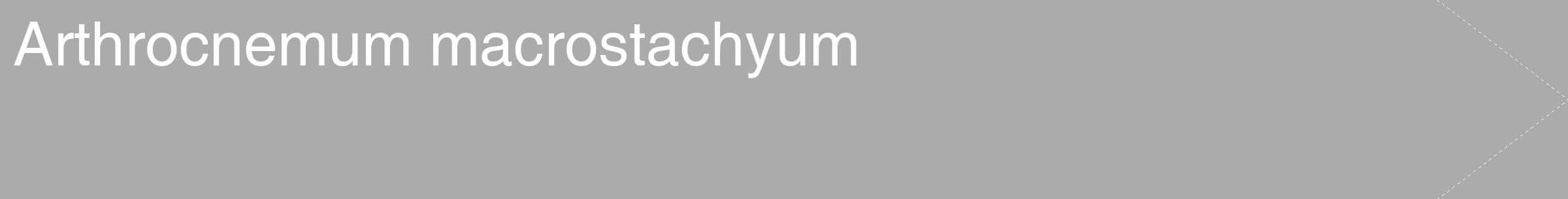 Étiquette de : Arthrocnemum macrostachyum - format c - style blanche37_simple_simplehel avec comestibilité