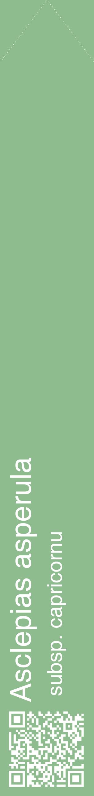 Étiquette de : Asclepias asperula subsp. capricornu - format c - style blanche13_simplehel avec qrcode et comestibilité