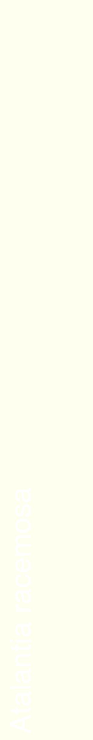 Étiquette de : Atalantia racemosa - format c - style blanche19_simplehel avec comestibilité