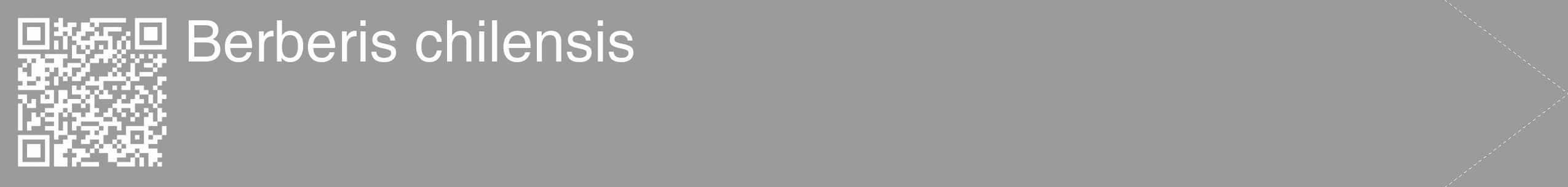 Étiquette de : Berberis chilensis - format c - style blanche52_simple_simplehel avec qrcode et comestibilité