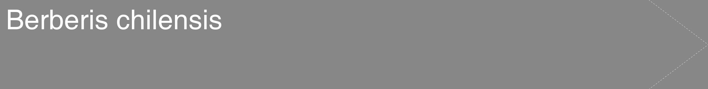 Étiquette de : Berberis chilensis - format c - style blanche12_simple_simplehel avec comestibilité