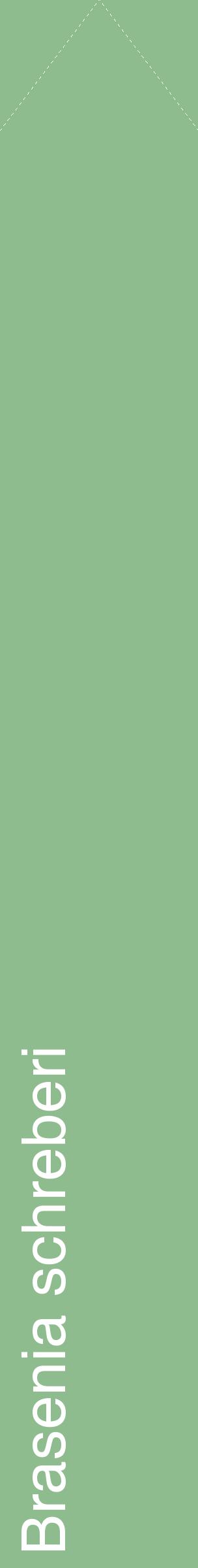 Étiquette de : Brasenia schreberi - format c - style blanche13_simplehel avec comestibilité