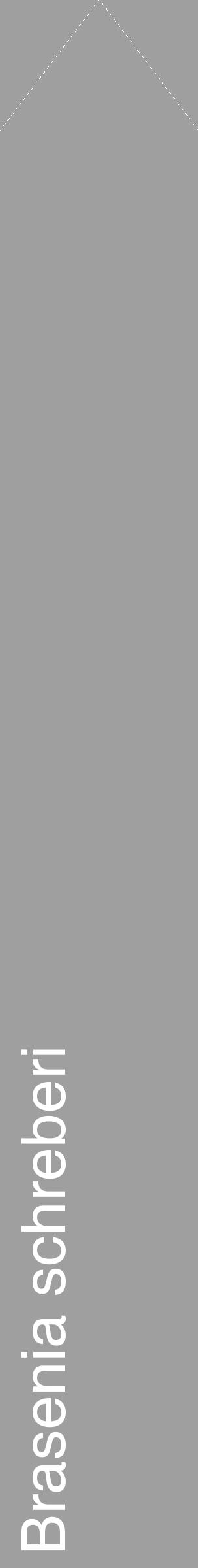 Étiquette de : Brasenia schreberi - format c - style blanche24_simple_simplehel avec comestibilité - position verticale