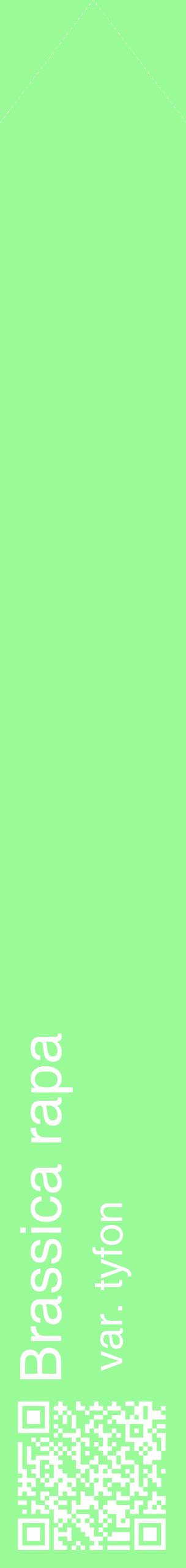 Étiquette de : Brassica rapa var. tyfon - format c - style blanche14_simplehel avec qrcode et comestibilité
