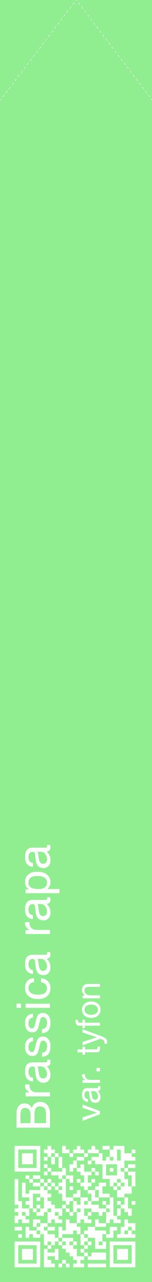 Étiquette de : Brassica rapa var. tyfon - format c - style blanche15_simplehel avec qrcode et comestibilité