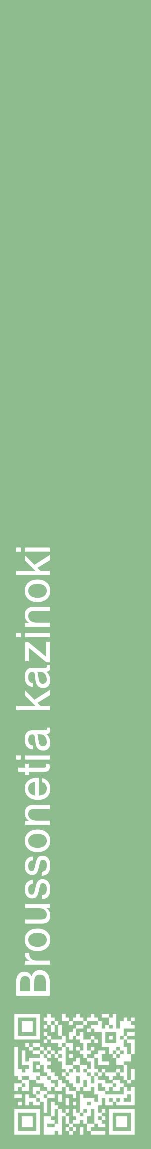Étiquette de : Broussonetia kazinoki - format c - style blanche13_basiquehel avec qrcode et comestibilité