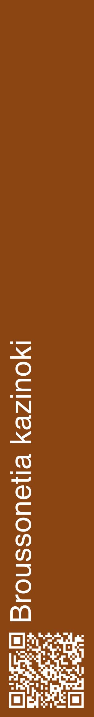 Étiquette de : Broussonetia kazinoki - format c - style blanche30_basiquehel avec qrcode et comestibilité