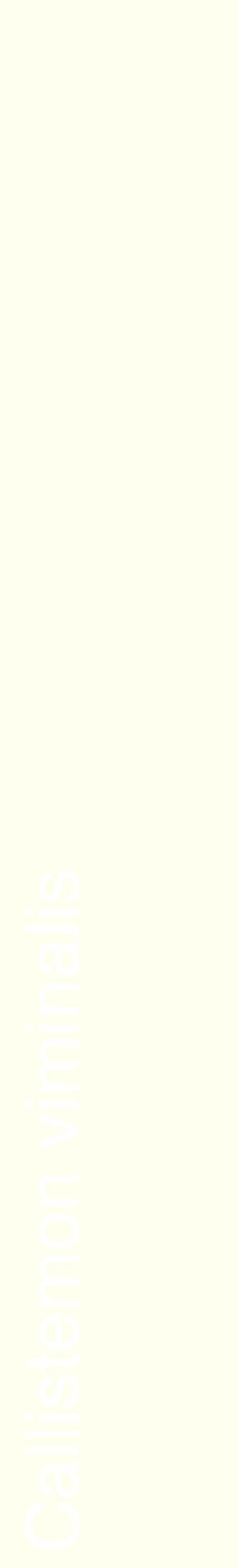 Étiquette de : Callistemon viminalis - format c - style blanche19_basiquehel avec comestibilité