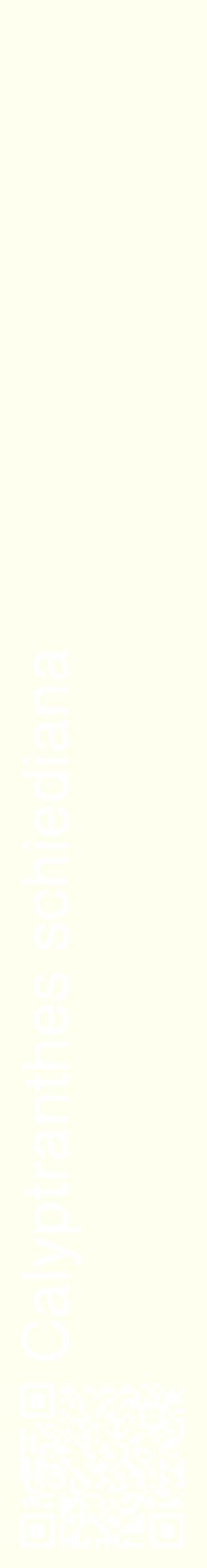 Étiquette de : Calyptranthes schiediana - format c - style blanche19_basiquehel avec qrcode et comestibilité