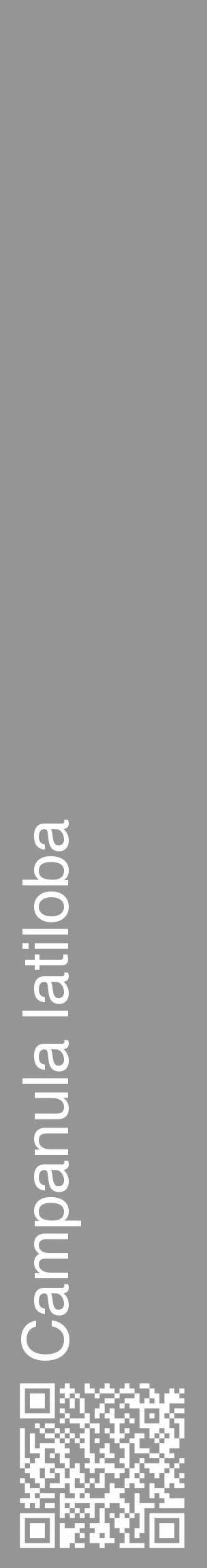 Étiquette de : Campanula latiloba - format c - style blanche16_basique_basiquehel avec qrcode et comestibilité - position verticale