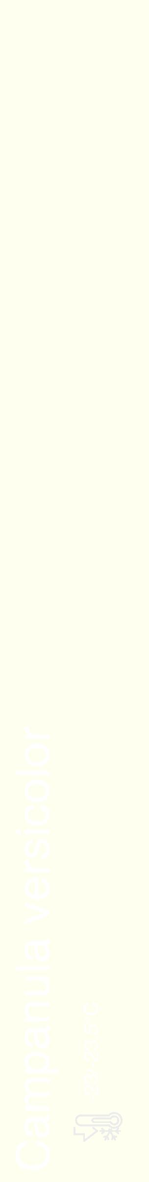 Étiquette de : Campanula versicolor - format c - style blanche19_simple_simplehel avec comestibilité - position verticale