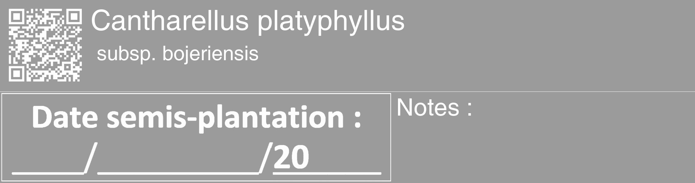 Étiquette de : Cantharellus platyphyllus subsp. bojeriensis - format c - style blanche52_basique_basiquehel avec qrcode et comestibilité