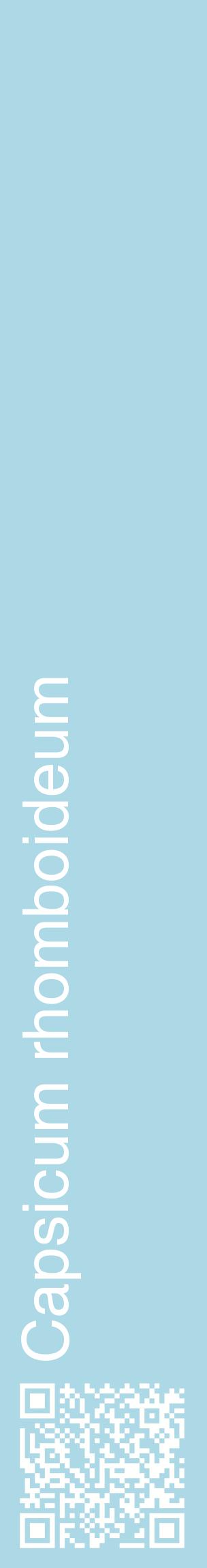 Étiquette de : Capsicum rhomboideum - format c - style blanche0_basiquehel avec qrcode et comestibilité