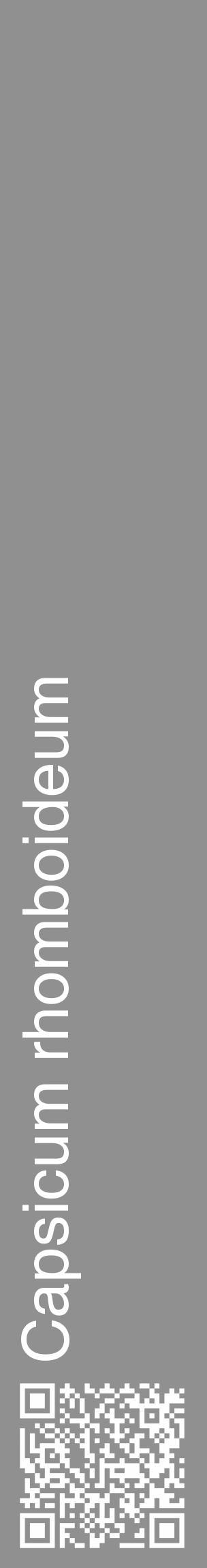 Étiquette de : Capsicum rhomboideum - format c - style blanche4_basique_basiquehel avec qrcode et comestibilité - position verticale