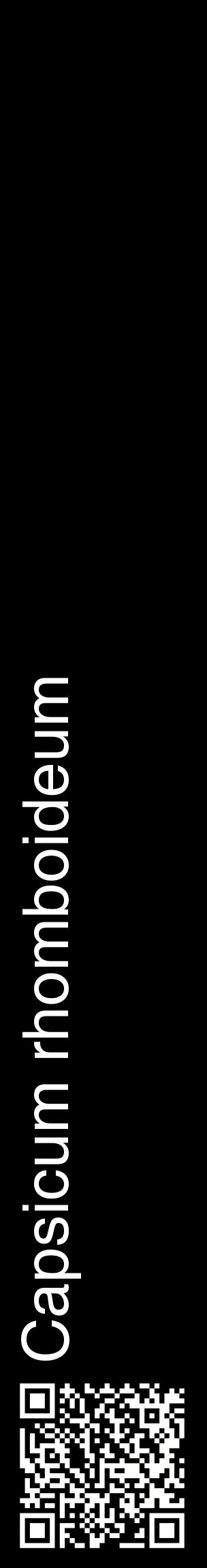 Étiquette de : Capsicum rhomboideum - format c - style blanche59_basiquehel avec qrcode et comestibilité