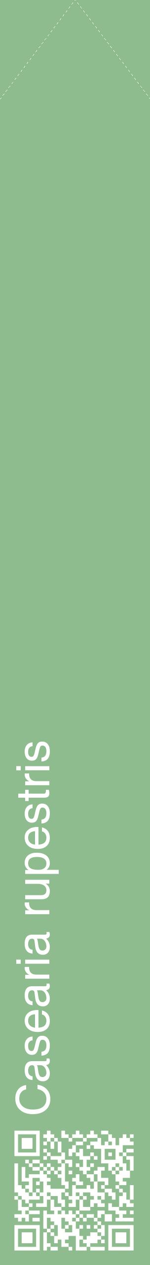 Étiquette de : Casearia rupestris - format c - style blanche13_simplehel avec qrcode et comestibilité
