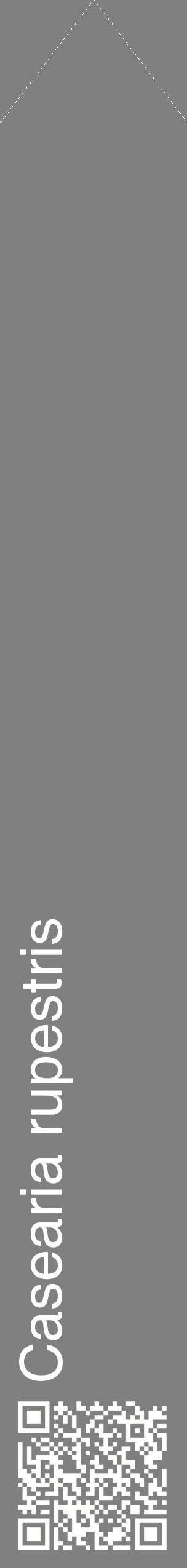 Étiquette de : Casearia rupestris - format c - style blanche57_simplehel avec qrcode et comestibilité