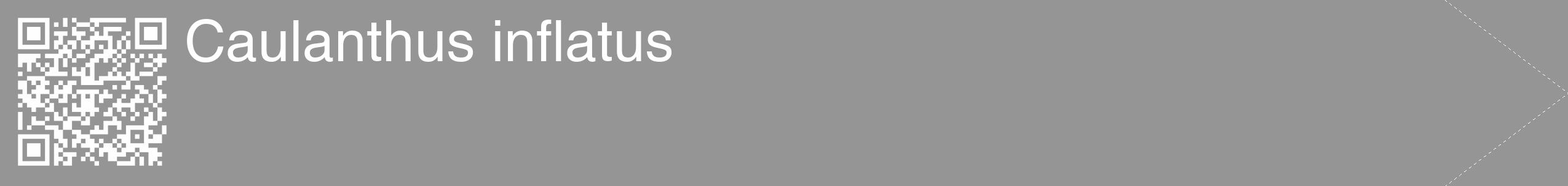 Étiquette de : Caulanthus inflatus - format c - style blanche16_simple_simplehel avec qrcode et comestibilité