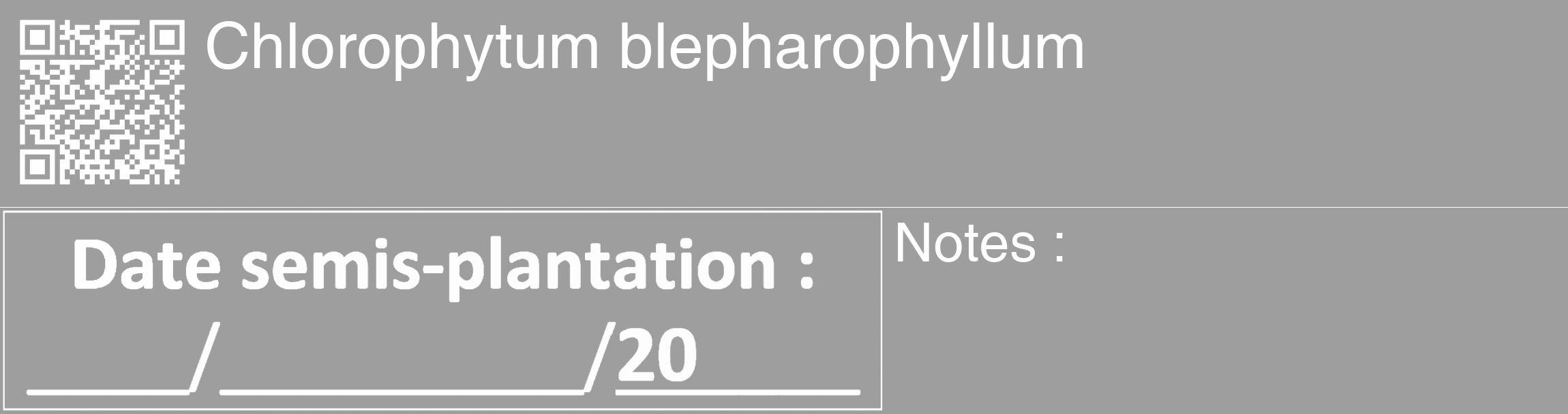 Étiquette de : Chlorophytum blepharophyllum - format c - style blanche23_basique_basiquehel avec qrcode et comestibilité