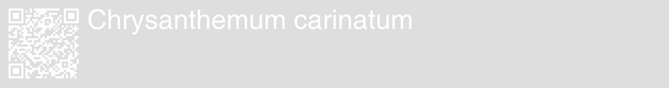 Étiquette de : Chrysanthemum carinatum - format c - style blanche20_basique_basiquehel avec qrcode et comestibilité