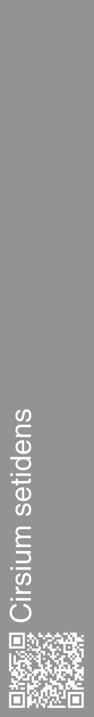 Étiquette de : Cirsium setidens - format c - style blanche44_basique_basiquehel avec qrcode et comestibilité - position verticale