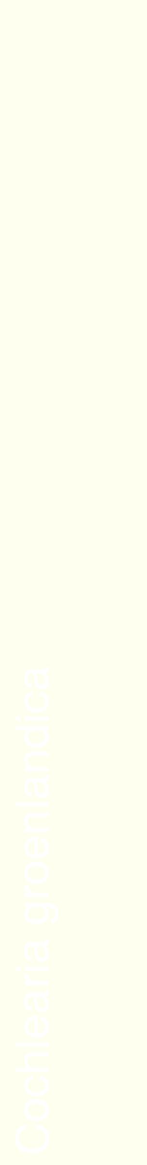 Étiquette de : Cochlearia groenlandica - format c - style blanche19_simplehel avec comestibilité