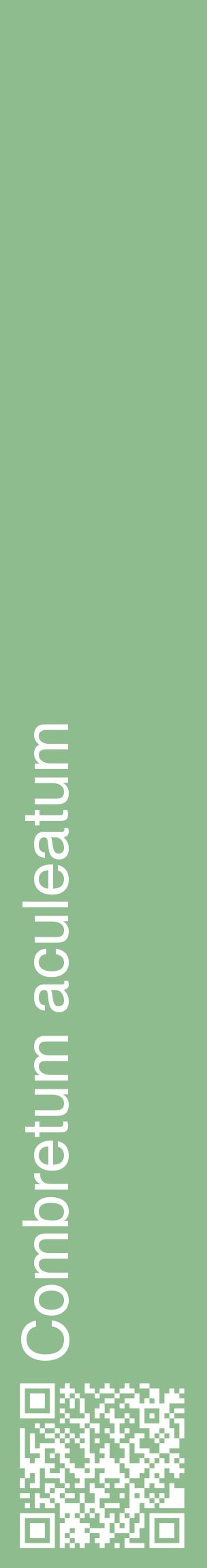 Étiquette de : Combretum aculeatum - format c - style blanche13_basiquehel avec qrcode et comestibilité