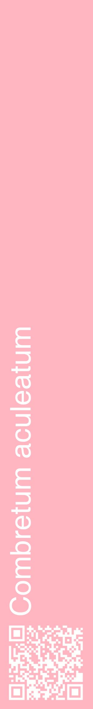 Étiquette de : Combretum aculeatum - format c - style blanche41_basiquehel avec qrcode et comestibilité