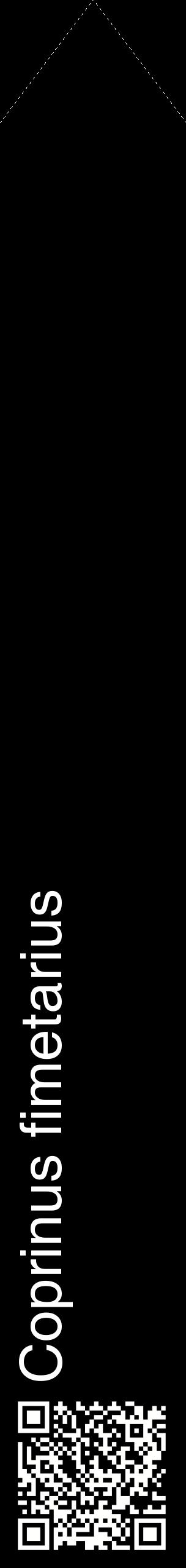 Étiquette de : Coprinus fimetarius - format c - style blanche59_simplehel avec qrcode et comestibilité