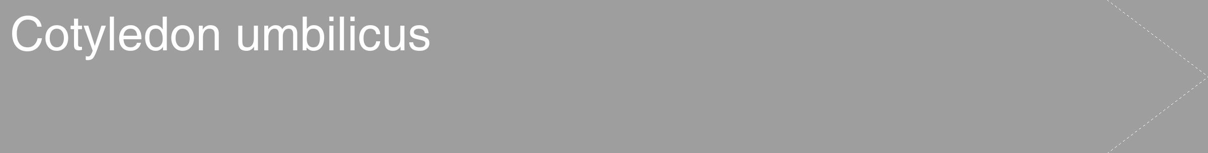 Étiquette de : Cotyledon umbilicus - format c - style blanche42_simple_simplehel avec comestibilité