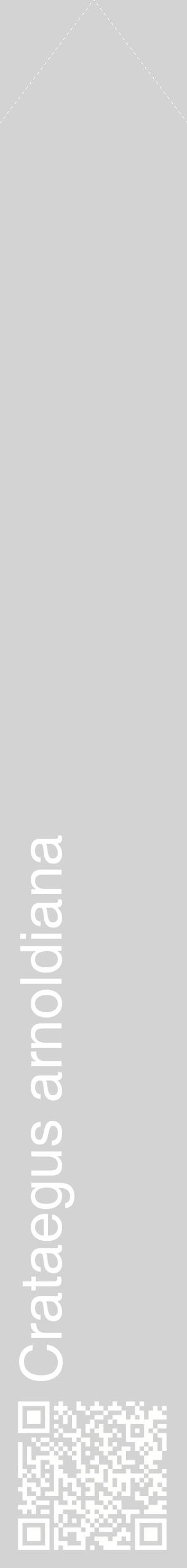 Étiquette de : Crataegus arnoldiana - format c - style blanche56_simplehel avec qrcode et comestibilité