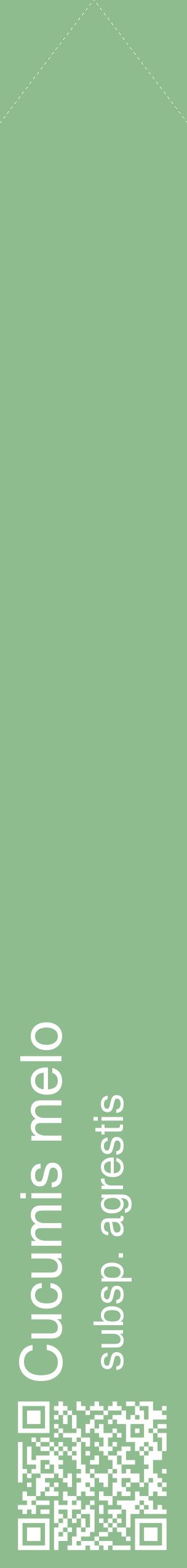 Étiquette de : Cucumis melo subsp. agrestis - format c - style blanche13_simplehel avec qrcode et comestibilité