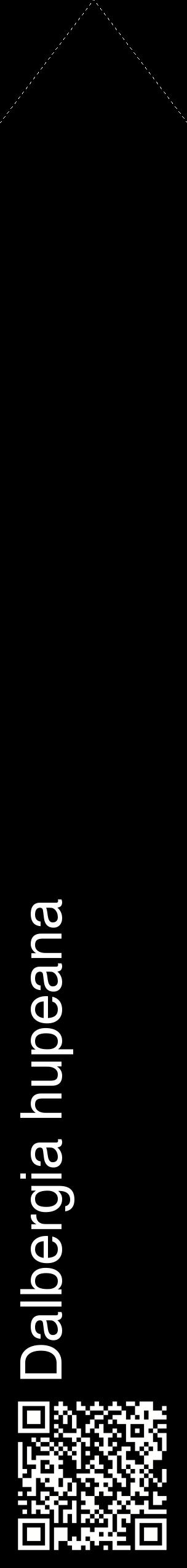 Étiquette de : Dalbergia hupeana - format c - style blanche59_simplehel avec qrcode et comestibilité