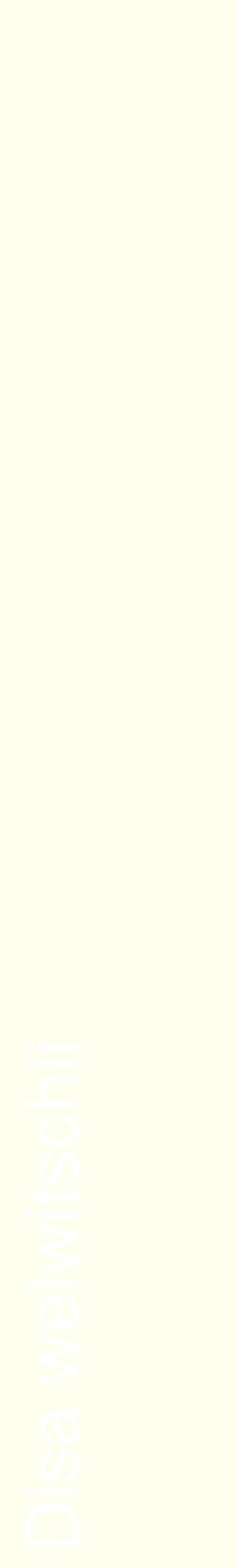 Étiquette de : Disa welwitschii - format c - style blanche19_basiquehel avec comestibilité
