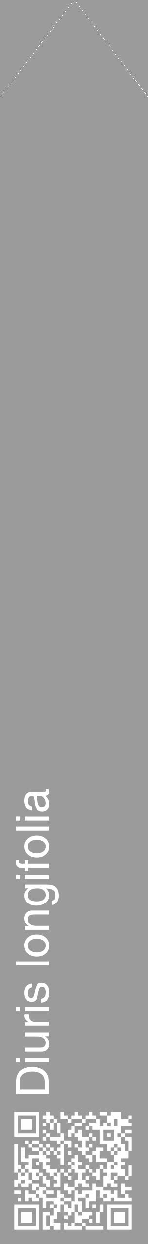 Étiquette de : Diuris longifolia - format c - style blanche52_simple_simplehel avec qrcode et comestibilité - position verticale