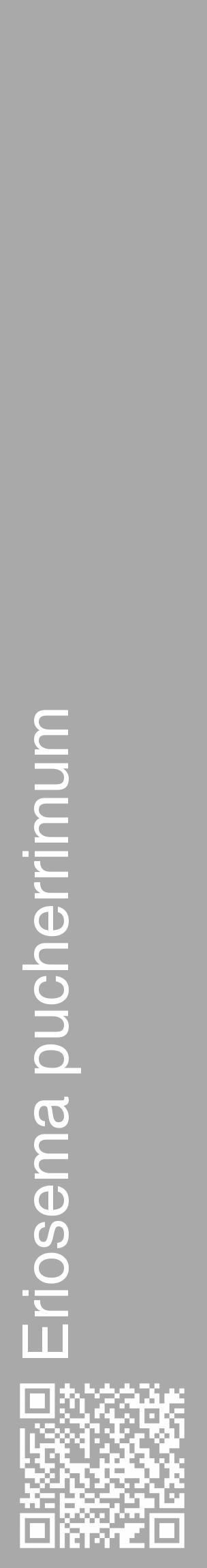 Étiquette de : Eriosema pucherrimum - format c - style blanche13_basique_basiquehel avec qrcode et comestibilité - position verticale