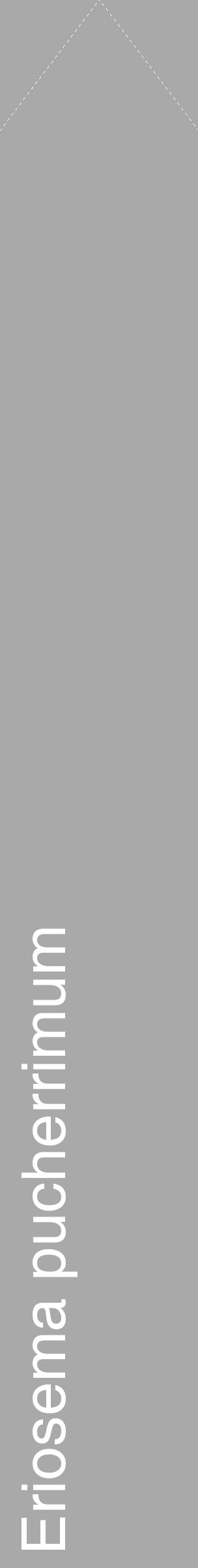Étiquette de : Eriosema pucherrimum - format c - style blanche13_simple_simplehel avec comestibilité - position verticale