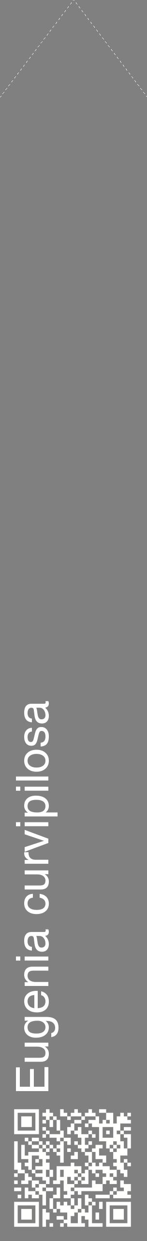Étiquette de : Eugenia curvipilosa - format c - style blanche57_simplehel avec qrcode et comestibilité